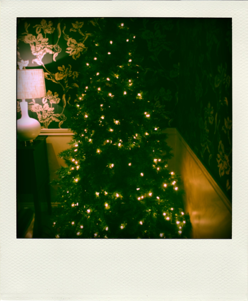 Illustration for article titled Photo Contest: Christmas Lights